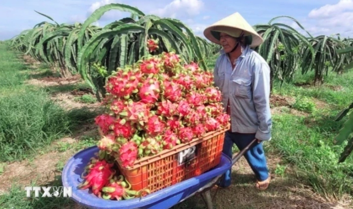 Israel shares experience in water-saving irrigation